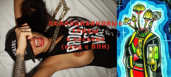 прущие грибы Беслан