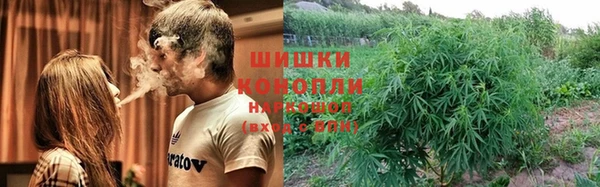 твердый Надым