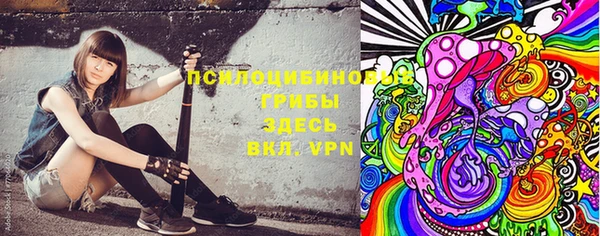 твердый Надым