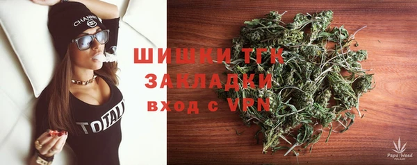 твердый Надым
