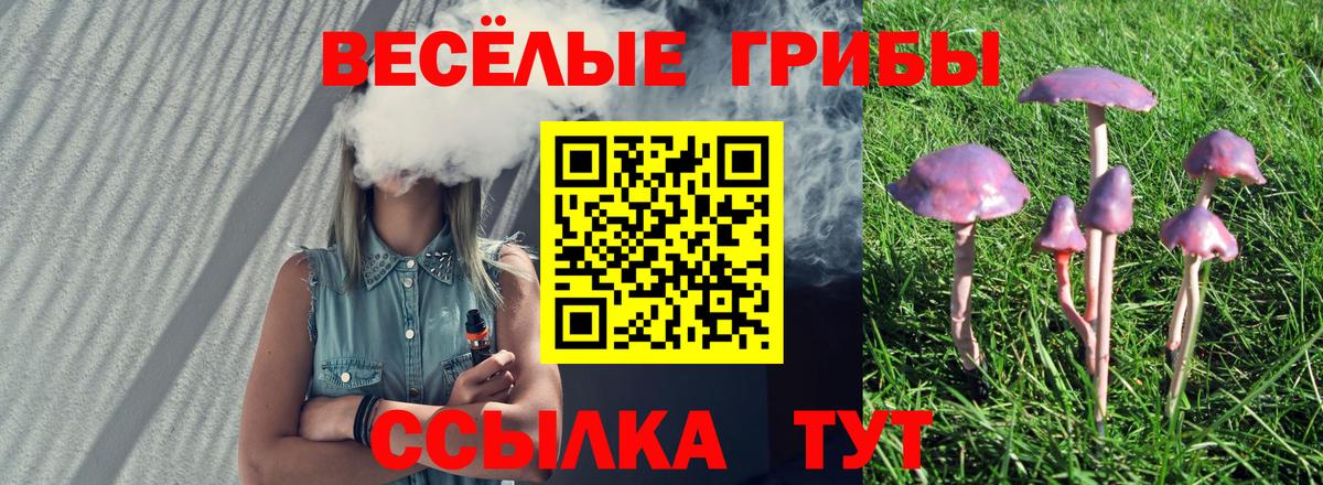 Ачинск  Галлюциногенные грибы прущие грибы  Вход с VPN 