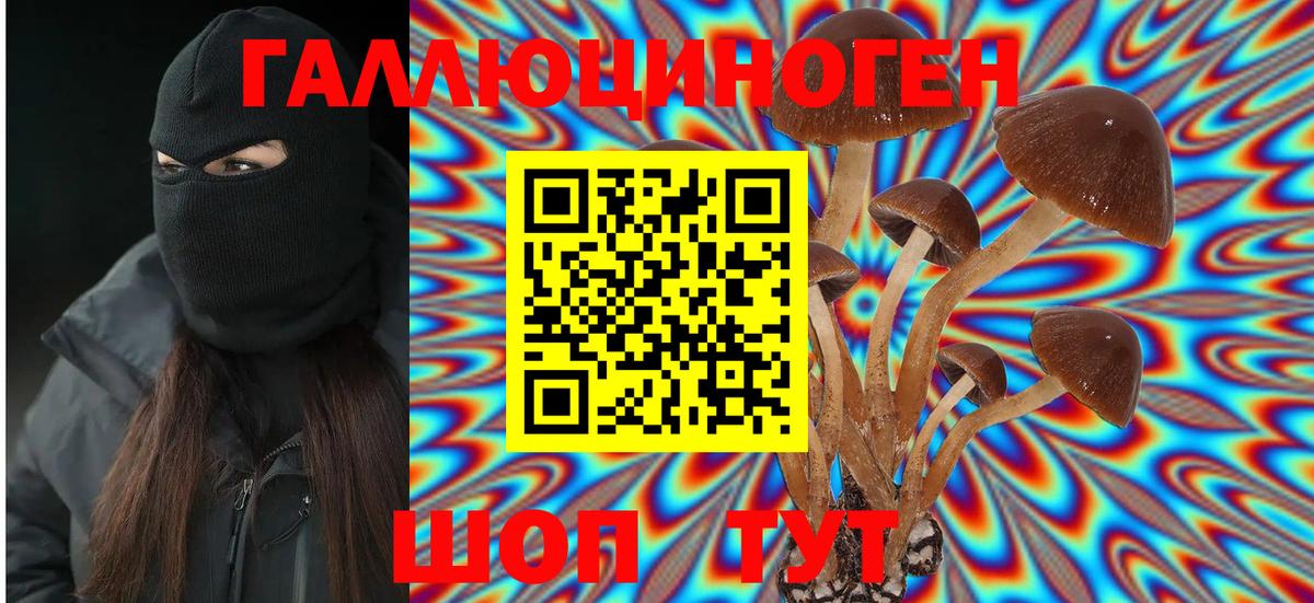 Галлюциногенные грибы Magic Shrooms  Ачинск  Галлюциногенные грибы Psilocybe 