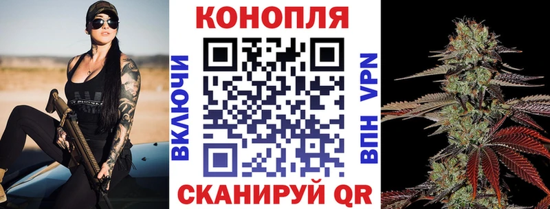 Канабис сатива  Ачинск 